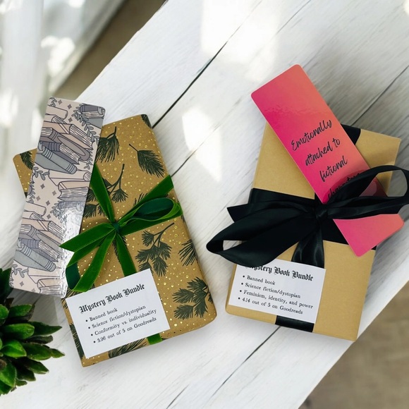š Mystery Book Bundle + Bookmark | Surprise Read | $10 - Picture 3 of 4